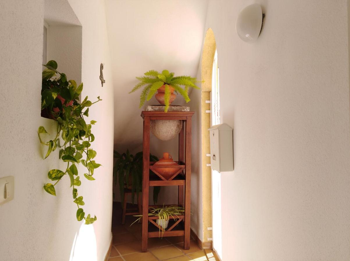 Apto. Pina De Mar Costa Adeje  Exteriér fotografie