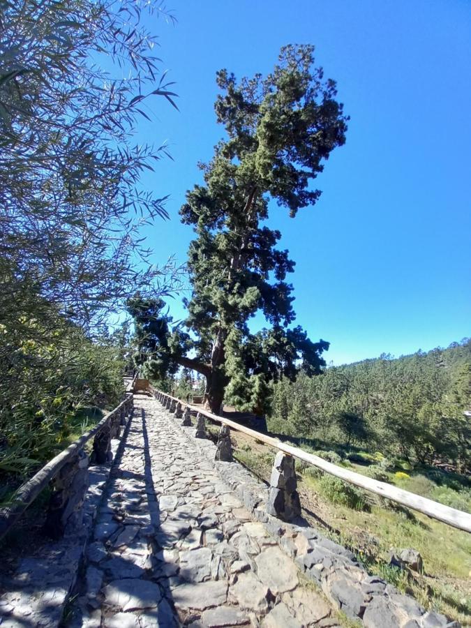 Apto. Pina De Mar Costa Adeje  Exteriér fotografie
