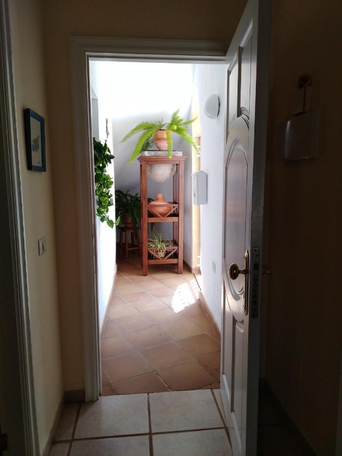 Apto. Pina De Mar Costa Adeje  Exteriér fotografie
